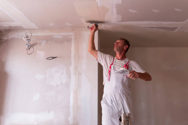 Reliable Mason Neck, VA Dry wall and painting Solutions